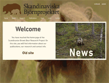 Tablet Screenshot of bearproject.info